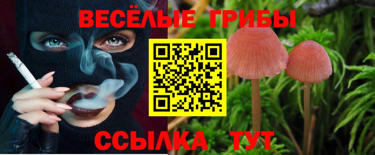 NBOMe  Codein  Кокаин  Киров  Меф МЯУ МЯУ   Мефедрон  Вход с VPN  Канабис  ГАШ  ГАШ 