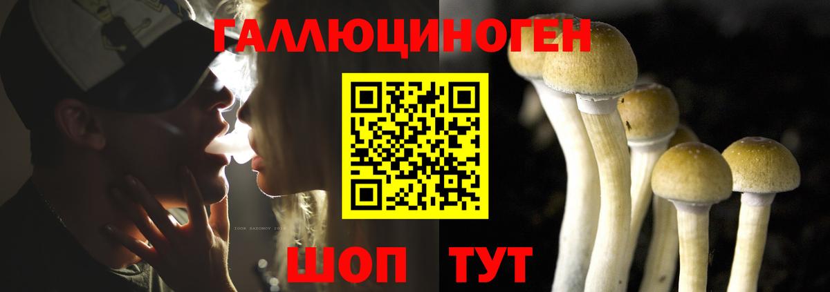 Галлюциногенные грибы прущие грибы Киров